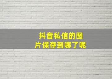 抖音私信的图片保存到哪了呢