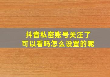 抖音私密账号关注了可以看吗怎么设置的呢