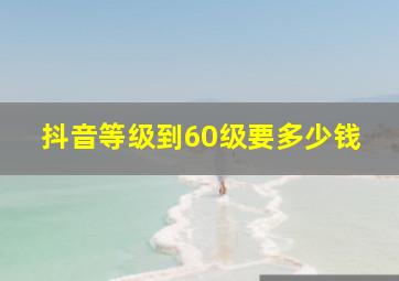 抖音等级到60级要多少钱