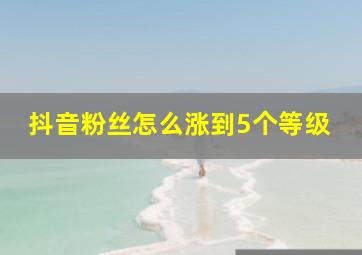 抖音粉丝怎么涨到5个等级