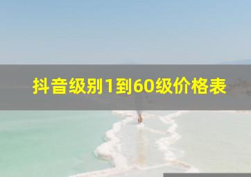 抖音级别1到60级价格表