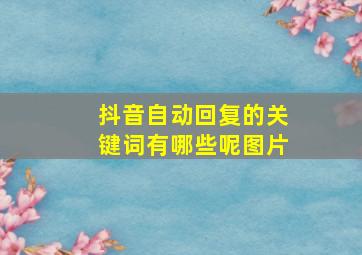 抖音自动回复的关键词有哪些呢图片