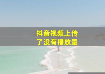 抖音视频上传了没有播放量