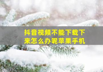 抖音视频不能下载下来怎么办呢苹果手机