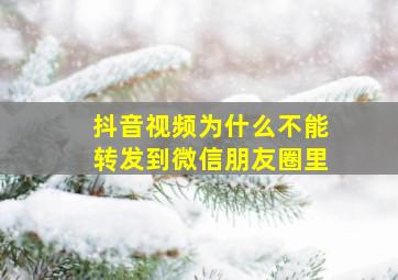 抖音视频为什么不能转发到微信朋友圈里