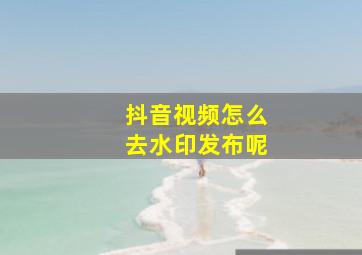 抖音视频怎么去水印发布呢