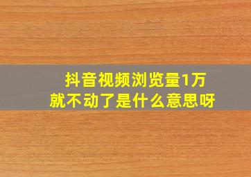 抖音视频浏览量1万就不动了是什么意思呀