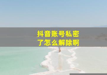 抖音账号私密了怎么解除啊