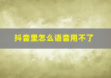 抖音里怎么语音用不了