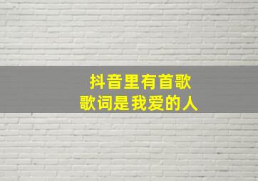 抖音里有首歌歌词是我爱的人