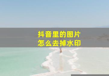 抖音里的图片怎么去掉水印