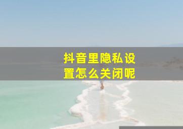 抖音里隐私设置怎么关闭呢