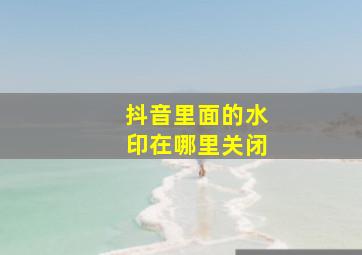 抖音里面的水印在哪里关闭