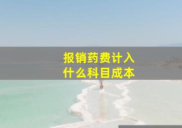 报销药费计入什么科目成本