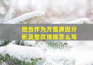 担当作为方面原因分析及整改措施怎么写