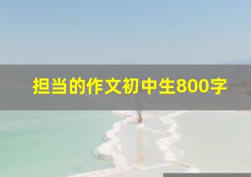 担当的作文初中生800字