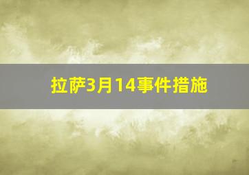 拉萨3月14事件措施