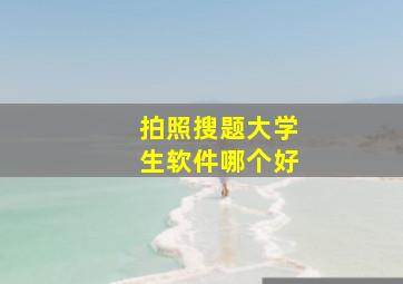 拍照搜题大学生软件哪个好