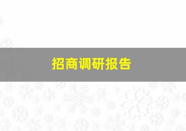 招商调研报告