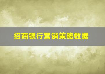 招商银行营销策略数据