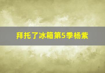 拜托了冰箱第5季杨紫