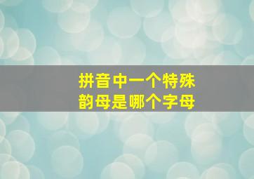 拼音中一个特殊韵母是哪个字母