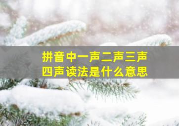 拼音中一声二声三声四声读法是什么意思