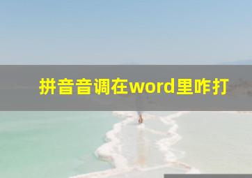 拼音音调在word里咋打