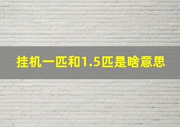 挂机一匹和1.5匹是啥意思