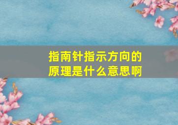 指南针指示方向的原理是什么意思啊