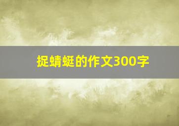 捉蜻蜓的作文300字