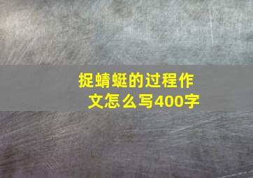 捉蜻蜓的过程作文怎么写400字