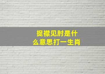 捉襟见肘是什么意思打一生肖