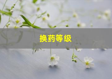 换药等级