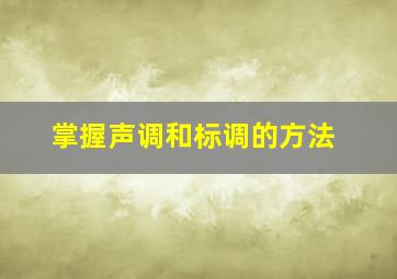 掌握声调和标调的方法