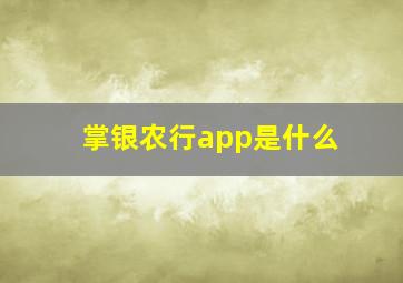 掌银农行app是什么