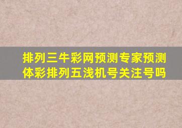 排列三牛彩网预测专家预测体彩排列五浅机号关注号吗