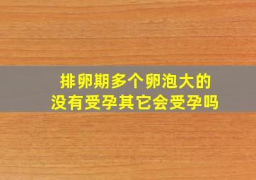 排卵期多个卵泡大的没有受孕其它会受孕吗