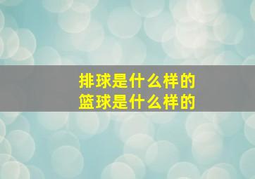 排球是什么样的篮球是什么样的