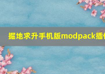 掘地求升手机版modpack插件