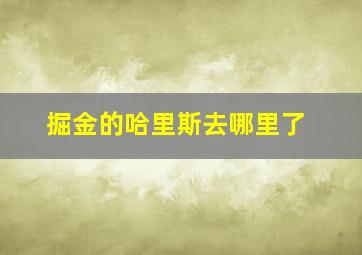 掘金的哈里斯去哪里了