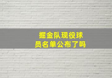 掘金队现役球员名单公布了吗