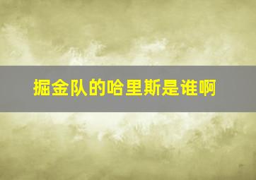 掘金队的哈里斯是谁啊