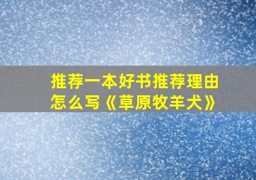 推荐一本好书推荐理由怎么写《草原牧羊犬》