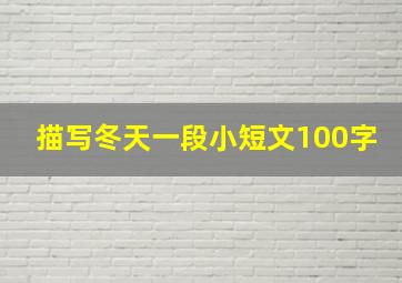 描写冬天一段小短文100字