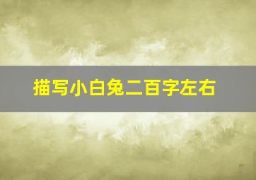 描写小白兔二百字左右