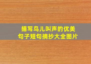 描写鸟儿叫声的优美句子短句摘抄大全图片