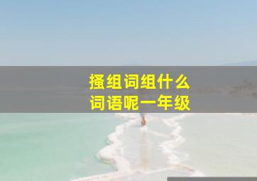 搔组词组什么词语呢一年级