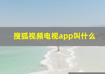 搜狐视频电视app叫什么