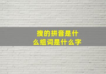 搜的拼音是什么组词是什么字